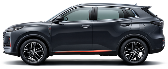 Звездный серый