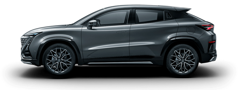 Жұлдызды сұр